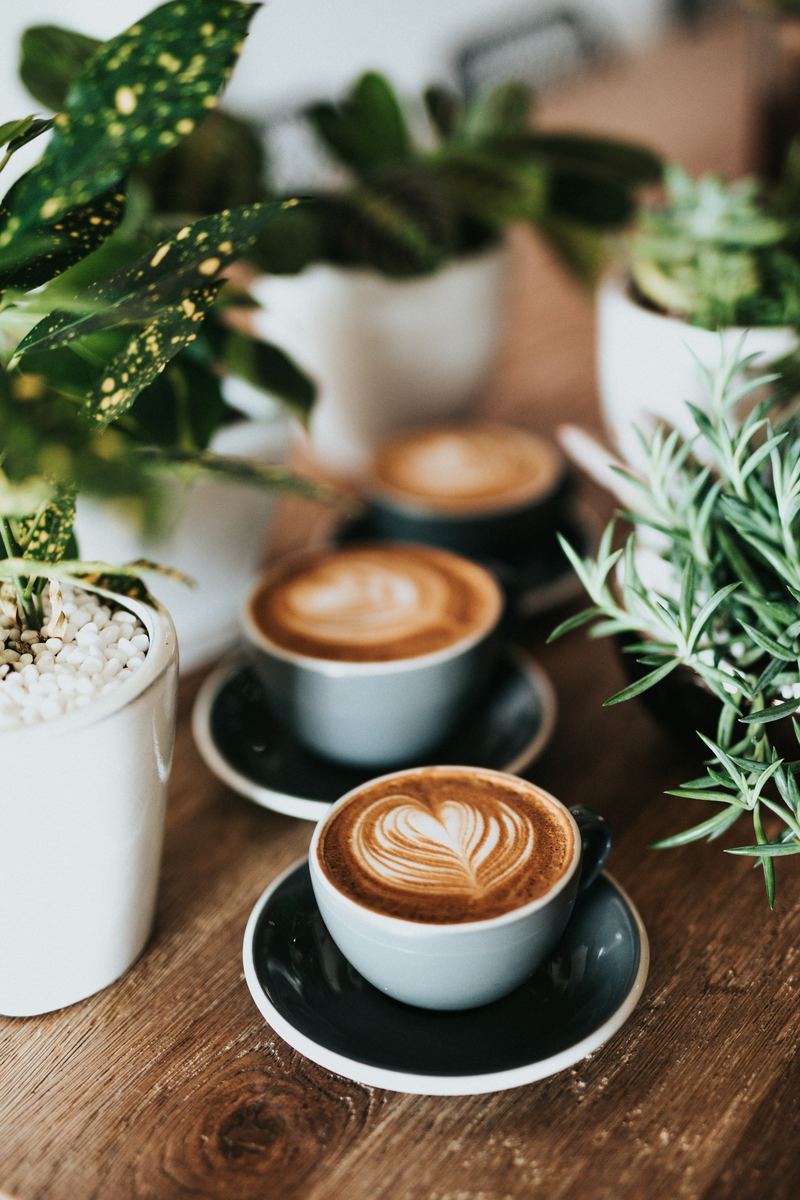 Three lattes with rosetta and heart foam art on black saucers, on a wooden table surrounded by houseplants