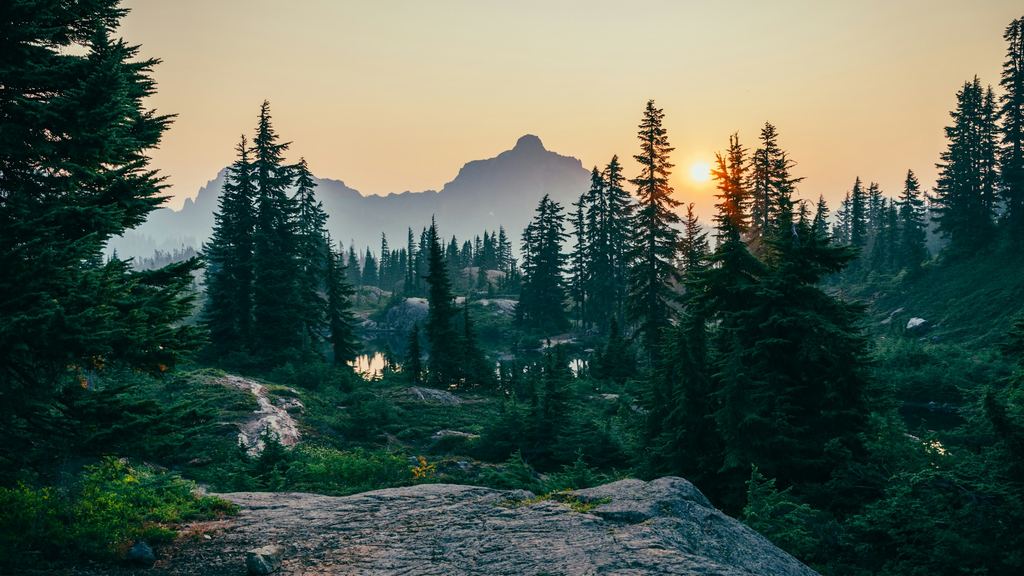 Evergreens in the foreground with a jagged mountain ridge behind them and the sun setting through the trees